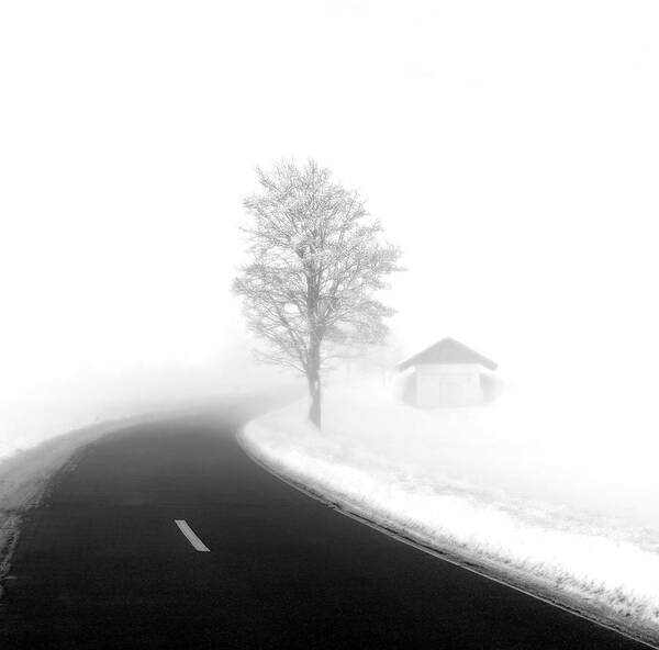 Imi Koetz - Foggy Day