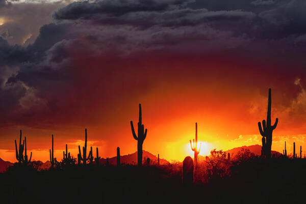 Saija Lehtonen - Just Another Arizona Sunset 