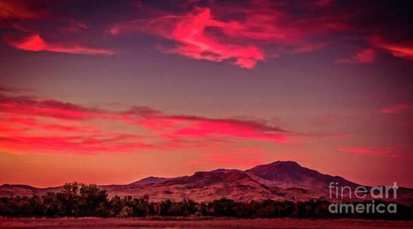 Robert Bales - Last Of Red Sunset