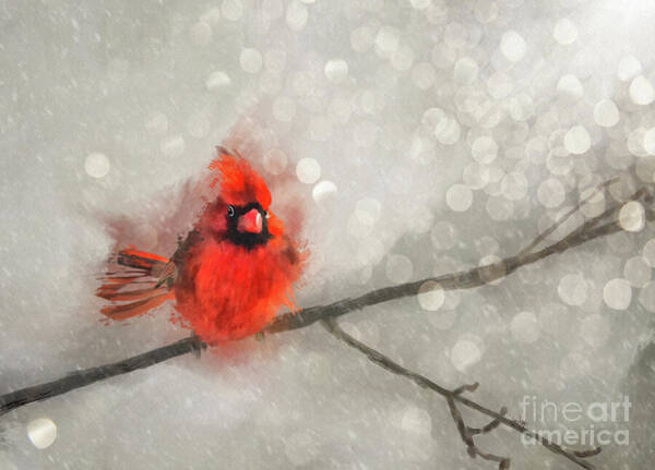 Lois Bryan - Northern Cardinal On A Snowy Windy Day