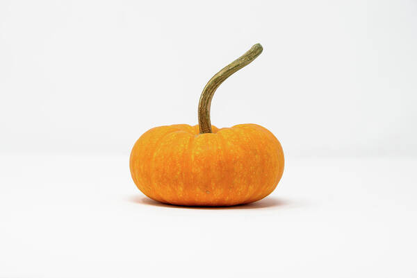 Kristy Mack - Pumpkin 636