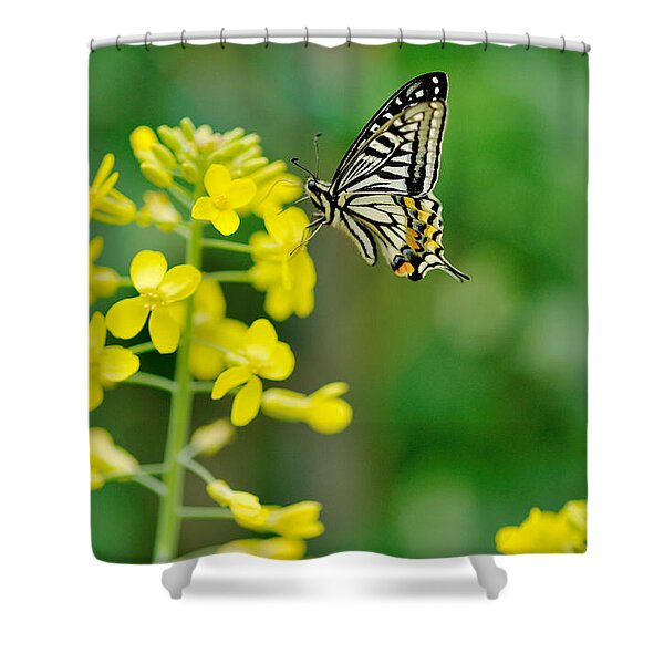 Details about   Swallowtail Shower Curtain Open Cocoon Print for Bathroom 