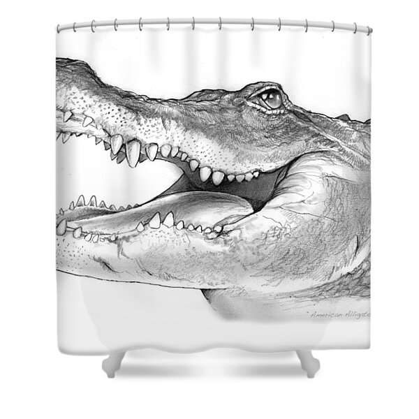 American Alligator Shower Curtains for Sale - Pixels