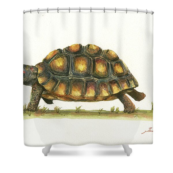 Turtle Drawing Shower Curtains Fine Art America