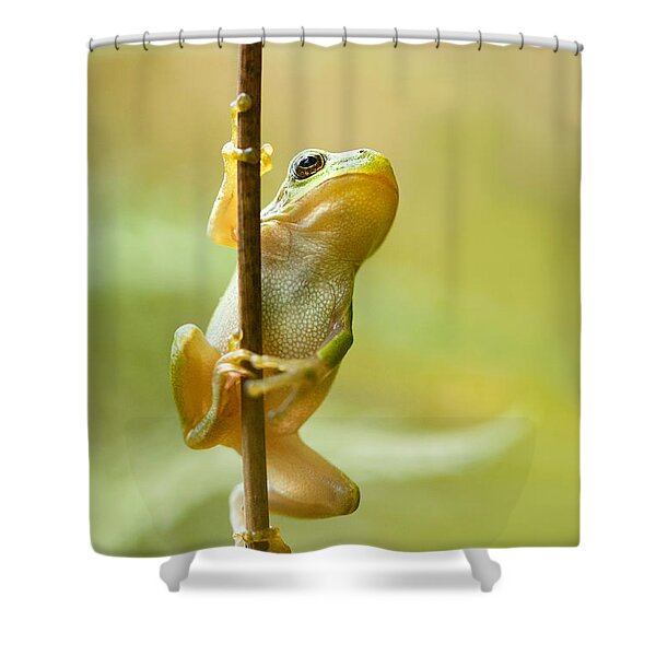 Frog Shower Curtains for Sale - Pixels Merch