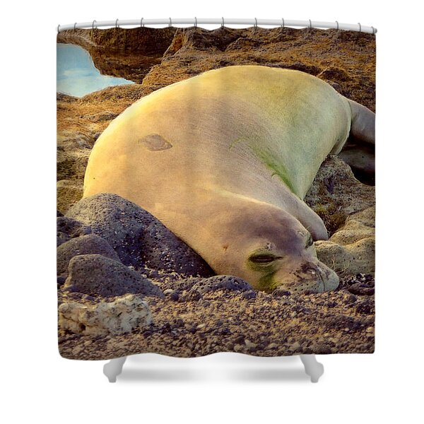 Baby Monk Seal Fleece Blanket by Darice Machel McGuire - Pixels