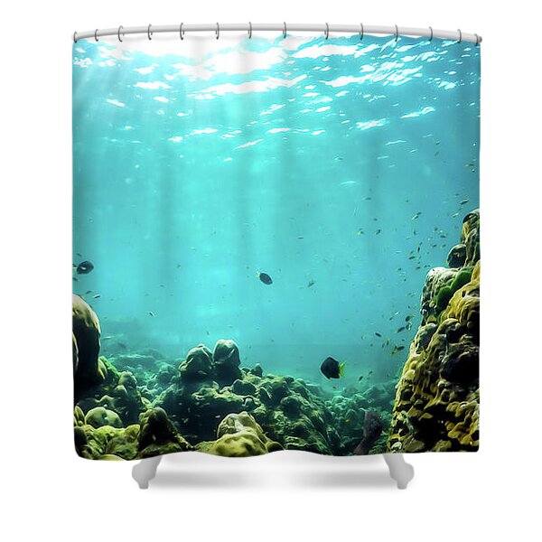 Fish Shower Curtains for Sale - Pixels Merch