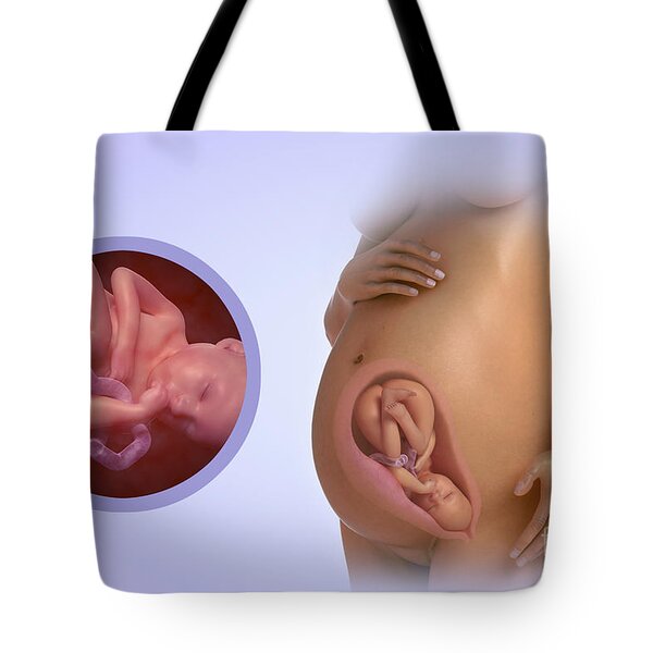 Tote bag Human Fetus drawing Leonardo da vinci Recycled cotton Eco friendly
