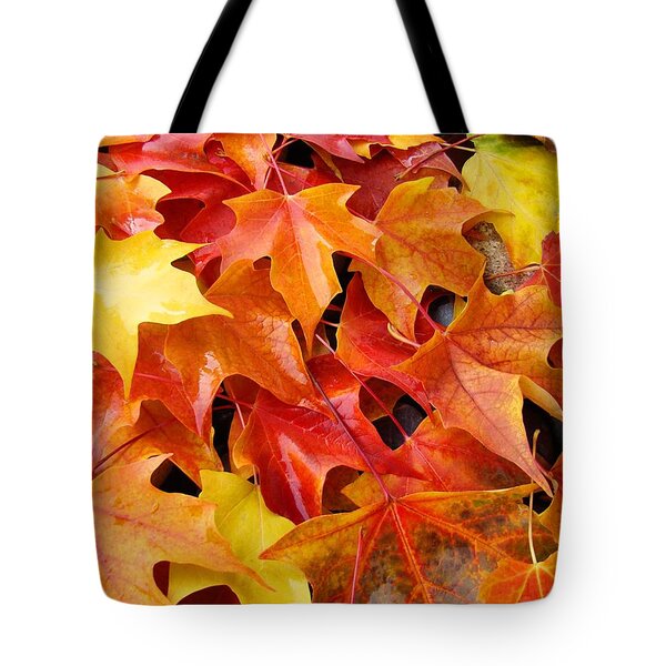 Fall Art Prints Red Orange Yellow Autumn Leaves Baslee Troutman ...