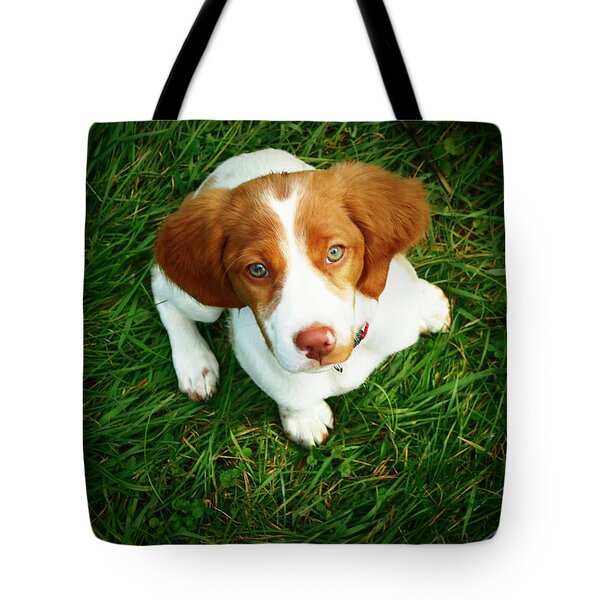 Canvas Shopping Tote Bag Kooikerhondje Head Kooikerhondje Dog Beach Bags for Women