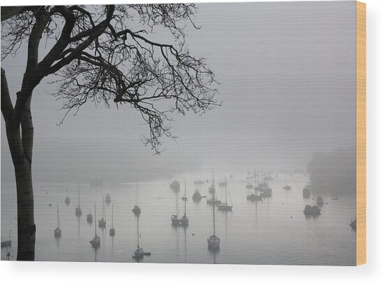 Fog Over Salcombe Estuary Wood Print