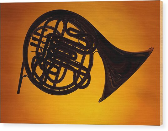 French Horn Silhouette Photograph by M K Miller