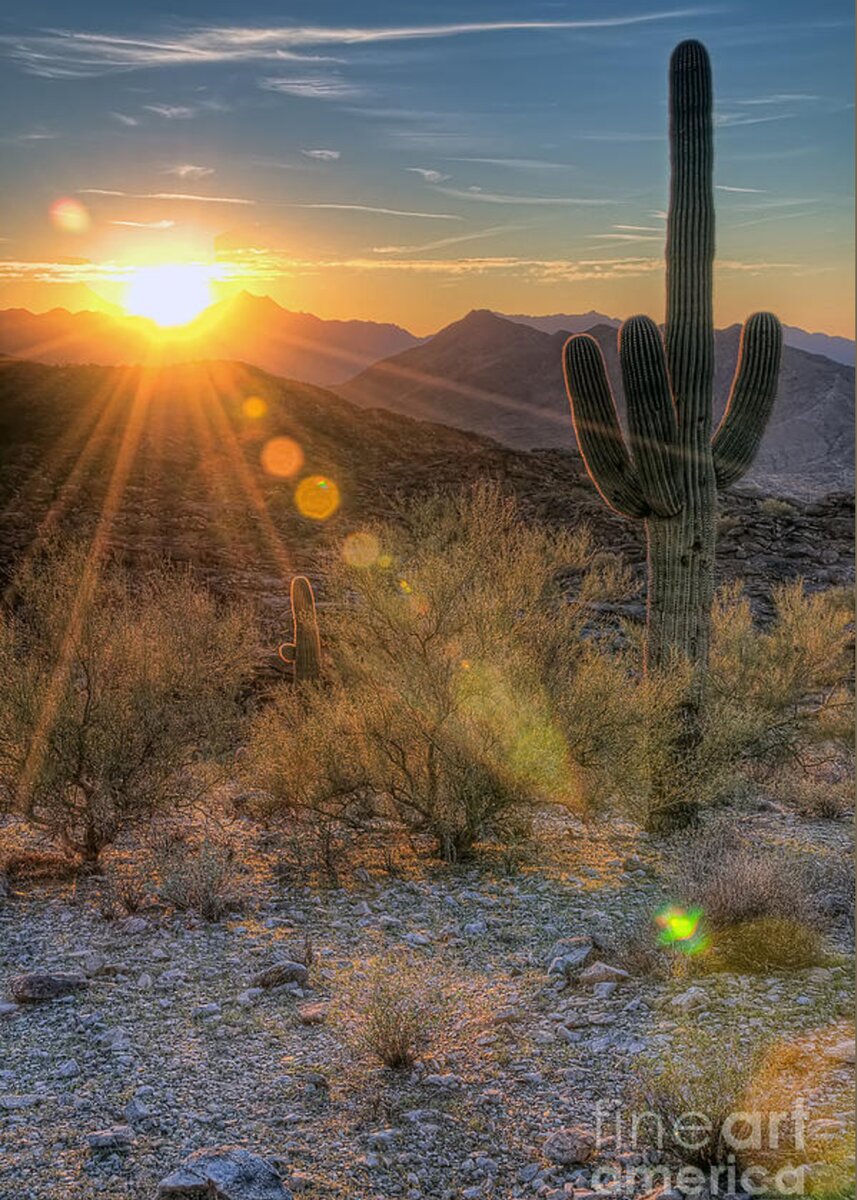 Desert Sunset Greeting Card for Sale by Eddie Yerkish