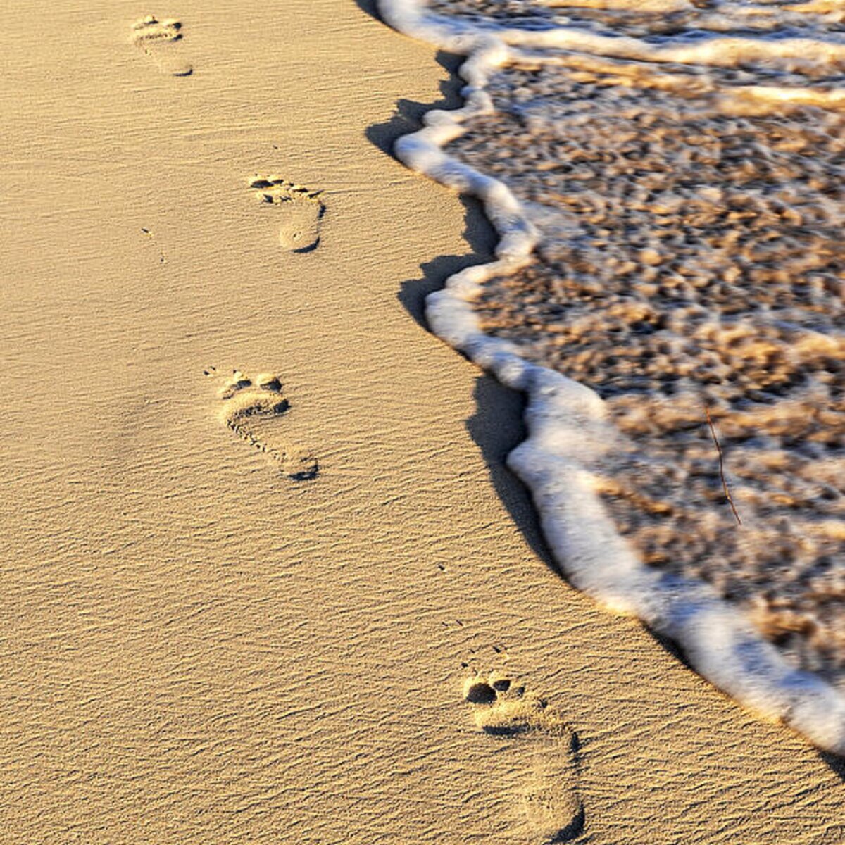 Footprints on beach Round Beach Towel for Sale by Elena Elisseeva