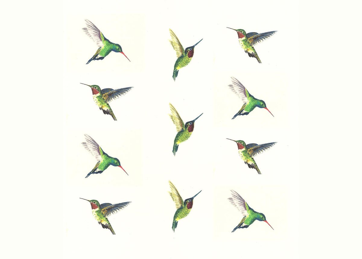 Hummingbirds Number 2 Greeting Card for Sale by Michael Vigliotti