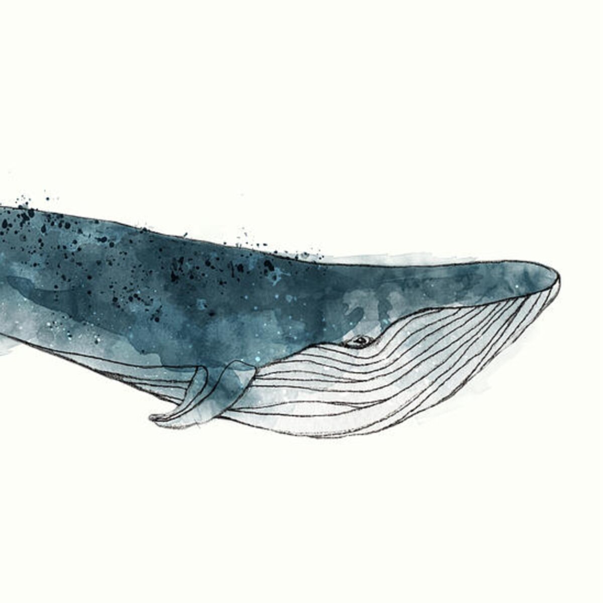 Blue Whale from Whales Chart Throw Pillow for Sale by Amy Hamilton