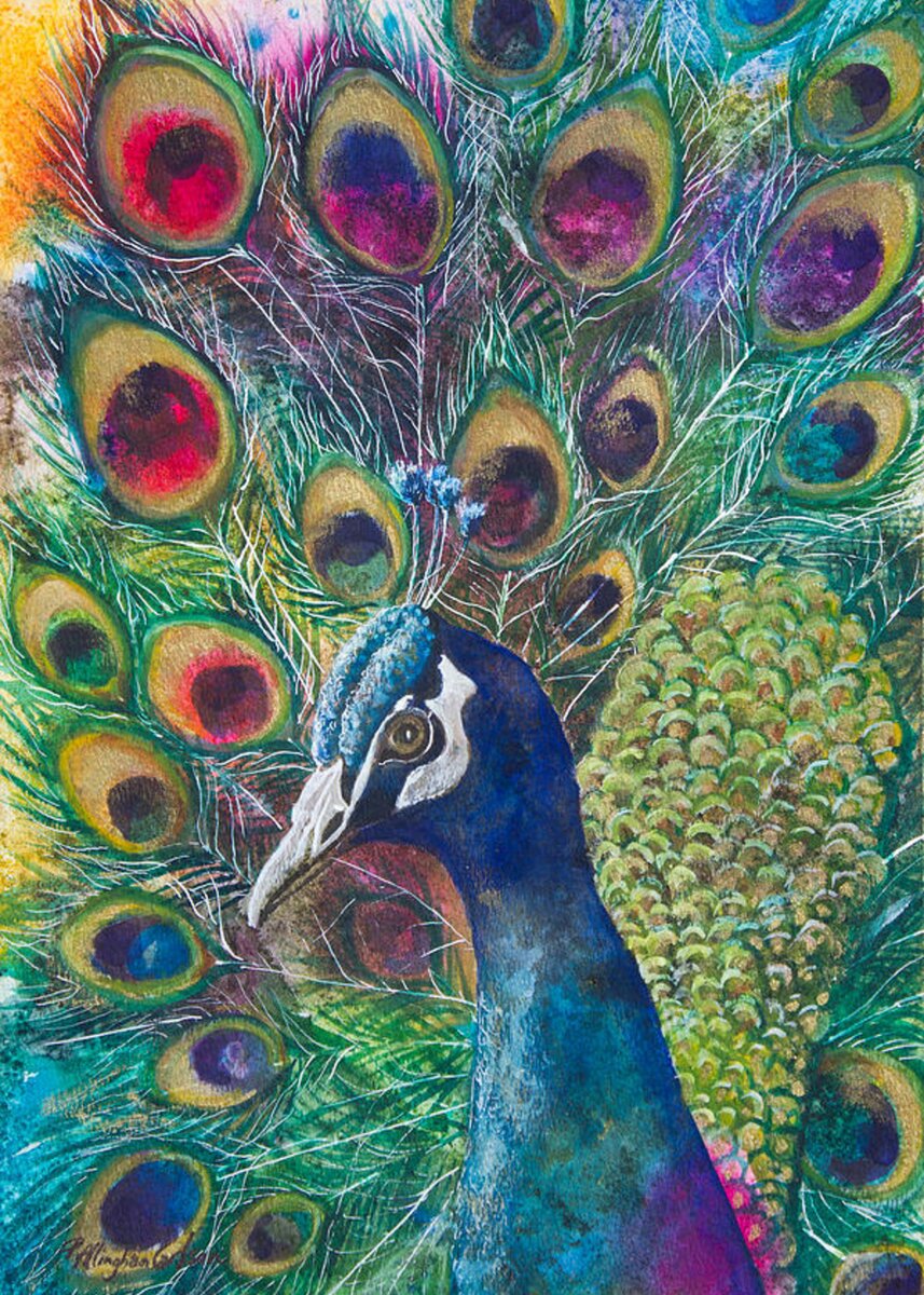 Golden Peacock Greeting Card for Sale by Patricia Allingham Carlson