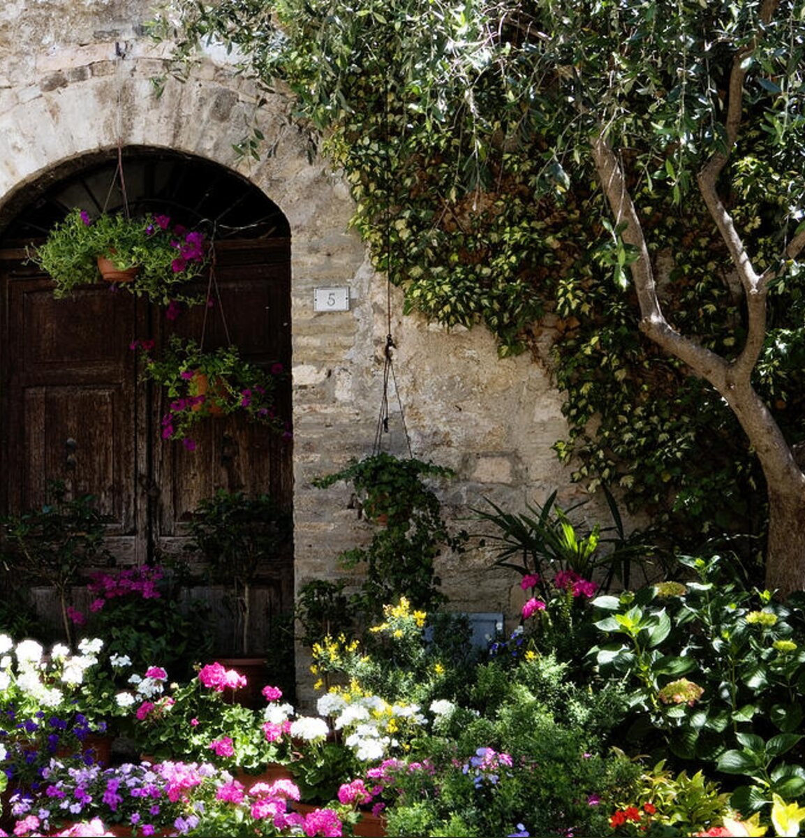 Italian Front Door Adorned With Flowers Shower Curtain for Sale by ...