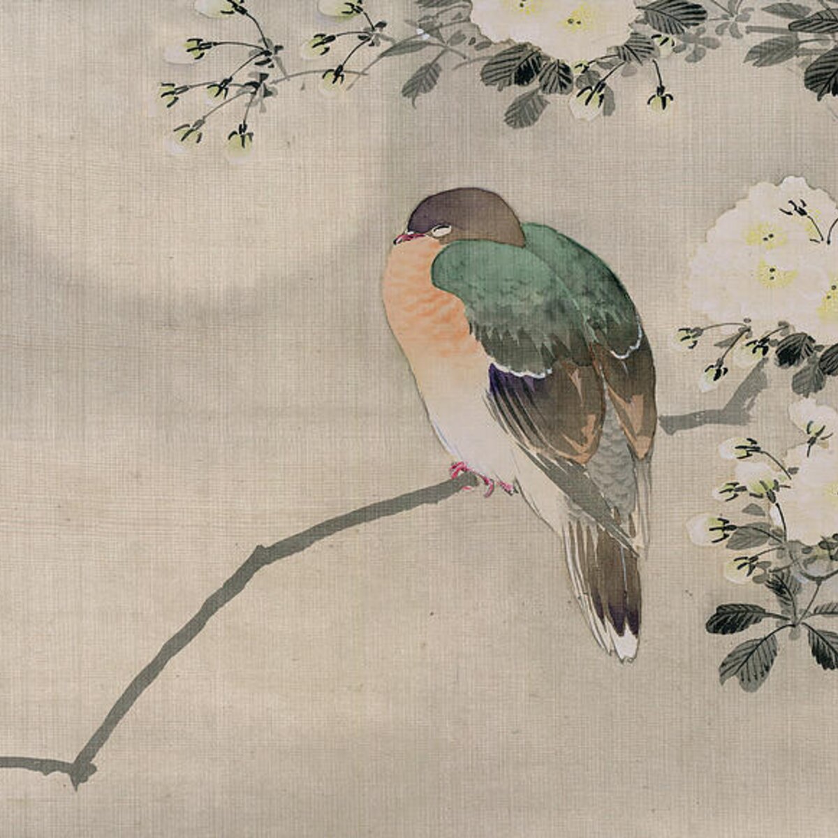 Japanese Silk Painting Of A Wood Pigeon Round Beach Towel for Sale by ...