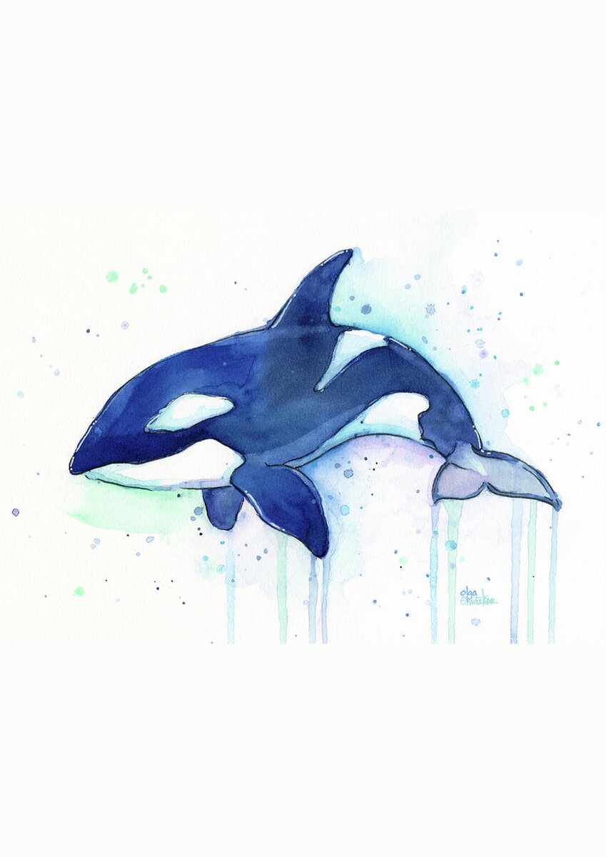 Kiler Whale Watercolor Orca Spiral Notebook for Sale by Olga Shvartsur