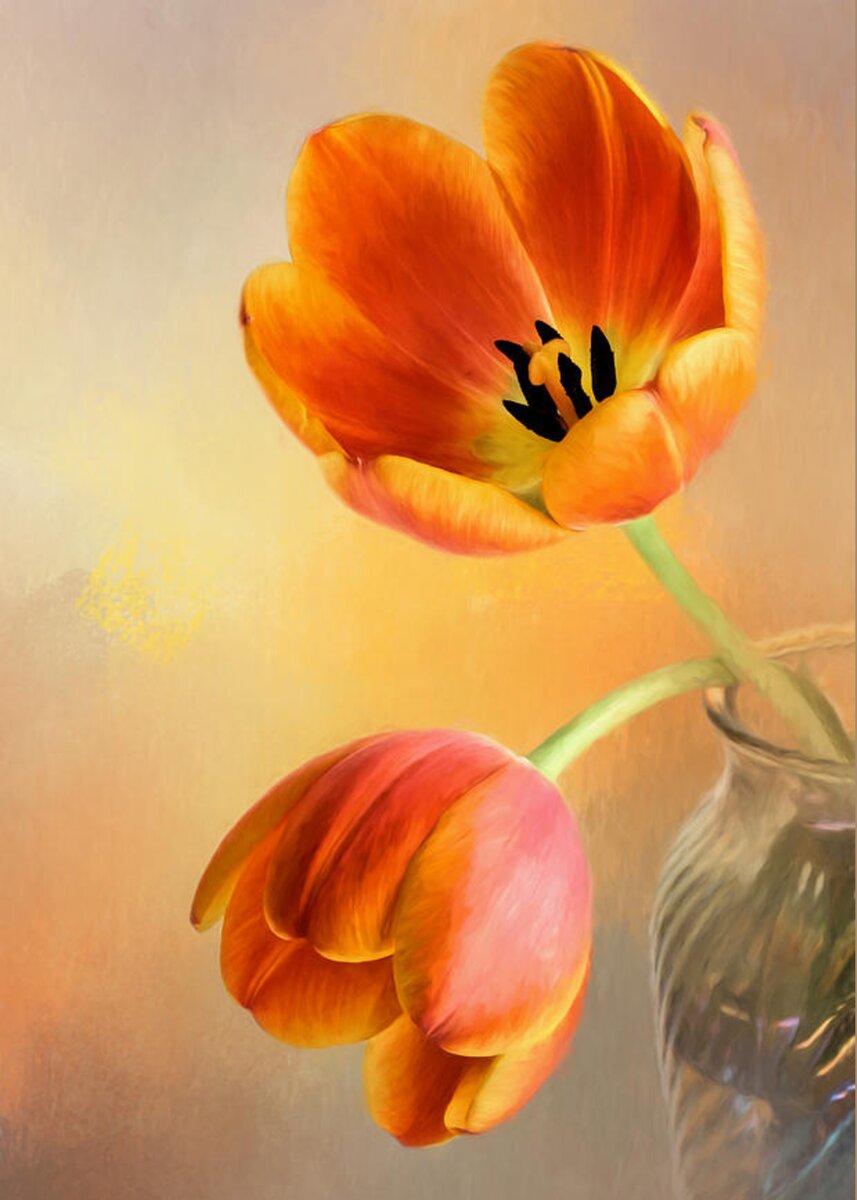 Tulip Duo Greeting Card for Sale by David and Carol Kelly