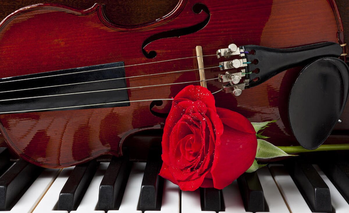 Violin and rose on piano Carry-all Pouch for Sale by Garry Gay