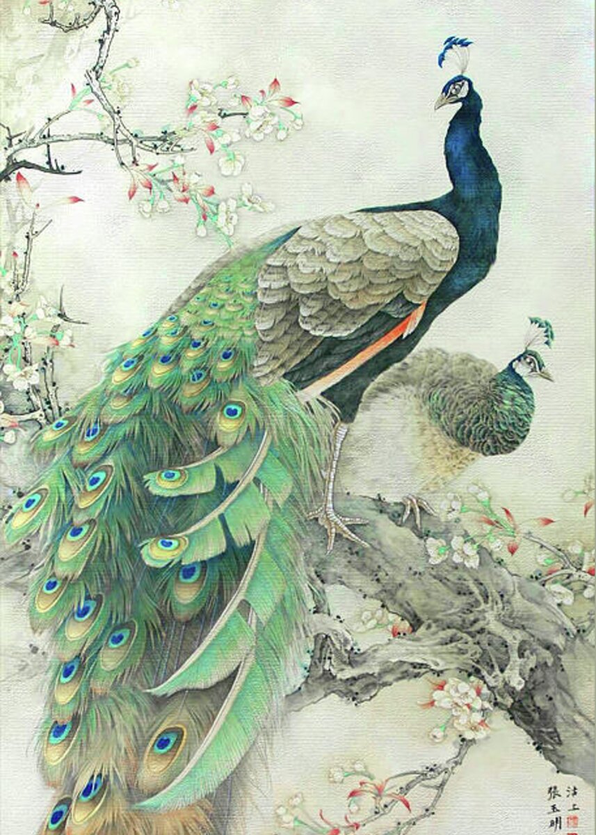 Vintage Art - Pair of Peacocks in tree Greeting Card for Sale by Audrey ...