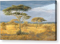 Designs Similar to African Landscape