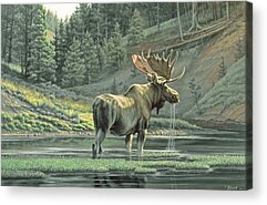Yellowstone National Park Paintings Acrylic Prints
