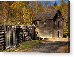 Fall Acrylic Prints