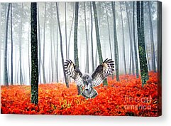 Great Gray Owl Acrylic Prints