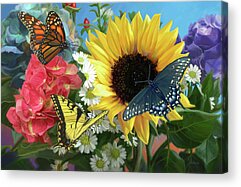 Spicebush Swallowtail Acrylic Prints