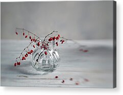 Designs Similar to Still Life with Red Berries