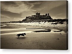 Bamburgh Acrylic Prints