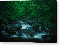 Dartmoor Acrylic Prints