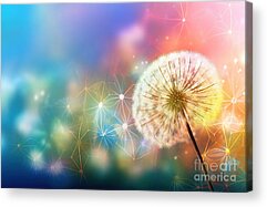 Naturopath Acrylic Prints