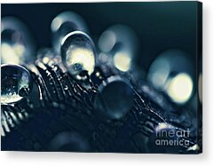 Lampwork Acrylic Prints