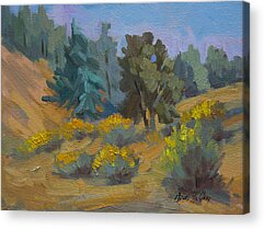 Tehachapi Acrylic Prints