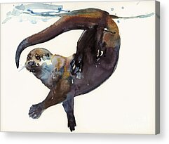 Beavers Acrylic Prints for Sale