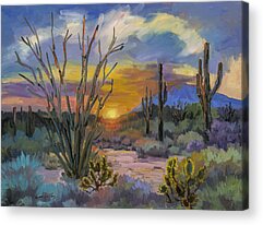 Desert Sunset Acrylic Prints