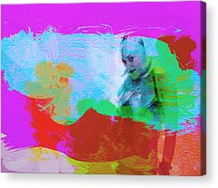 Gwen Stefani Acrylic Prints