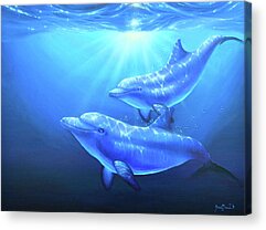 Dolphin Family Paintings Acrylic Prints