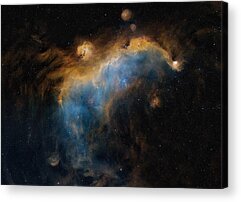 Seagull Nebula Acrylic Prints