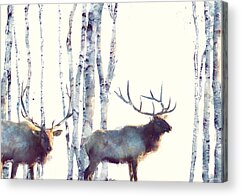 Nature Paintings Acrylic Prints