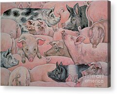 Designs Similar to Pig Spread by Ditz