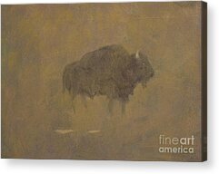 Buffalo Herd Acrylic Prints