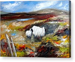 Sheep Acrylic Prints