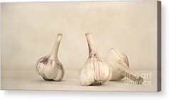 Garlic Clove Acrylic Prints