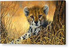 Cheetah Acrylic Prints