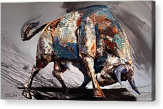 Bull Fight Acrylic Prints